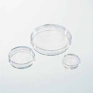 [CCP]CE认证的IVF细胞培养皿，规格35×10mm，已灭菌，聚苯乙烯|35×10mm|Nunc