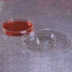 [LPE] 细菌培养皿，PMP，100×15mm|100×15mm|Nalgene/耐洁