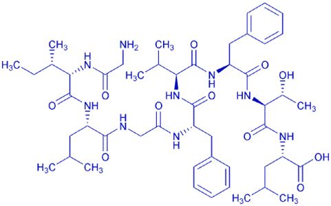 甲型流感病毒肽M1 (58-66),Matrix Protein M1 (58-66) (Influenza A virus)