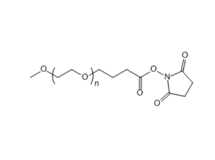 甲氧基聚乙二醇-丁酸琥珀酰亚胺酯,mPEG-SBA