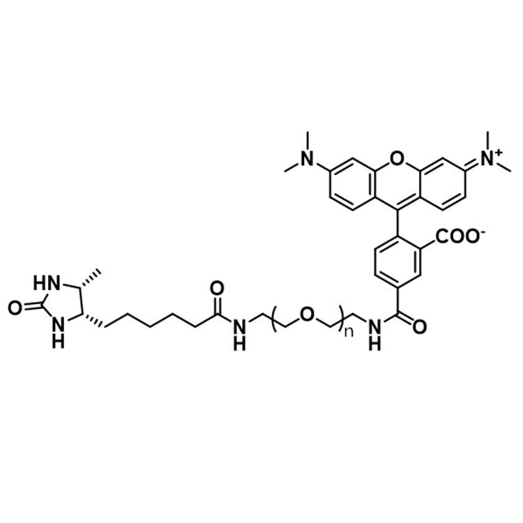 Desthiobiotin-PEG-Rhodamine;DSB-PEG-RB;Desthiobiotin-PEG-RB;DSB-PEG-Rhodamine