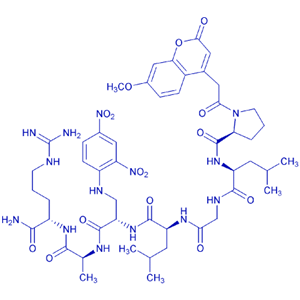 基质金属蛋白酶检测底物多肽/140430-53-1/MOCAc-PLGL(Dpa)AR