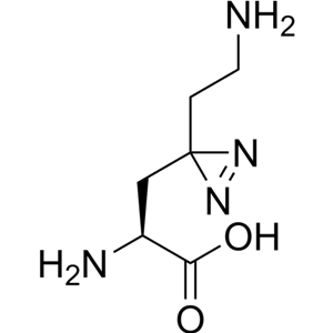 Photo-lysine 