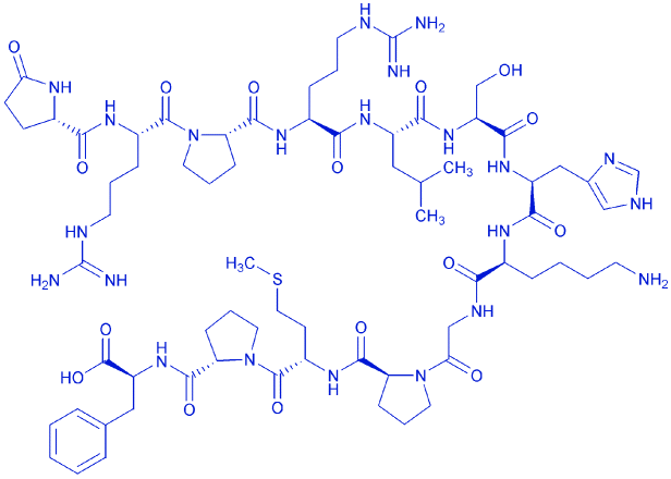 人牛吡啶Apelin-13,Pyr1]-Apelin-13