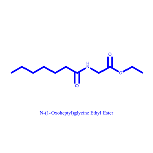 N-(1-Oxoheptyl)glycine Ethyl Ester 574010-47-2