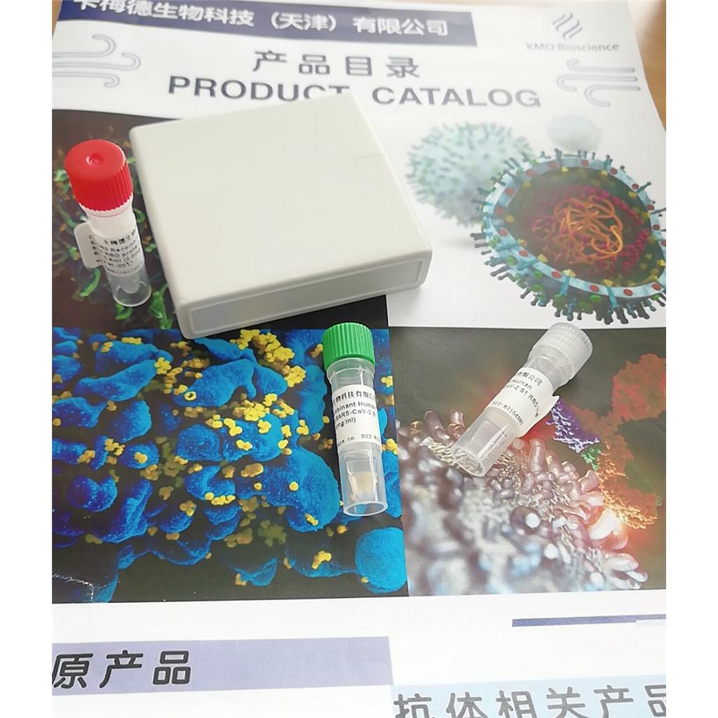 重組乙肝病毒表面抗原HBsAg抗原,Recombinant HBs Antigen