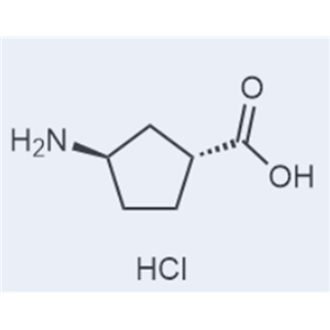 (1R,3R)-3-氨基环戊烷羧酸盐酸盐
