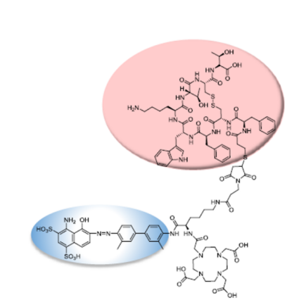 EB-DOTA-Octreotide,EB-DOTA-Octreotide