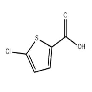 2-氯噻吩-5-甲酸 中间体 24065-33-6