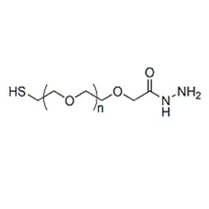 Hydrazide-PEG-Thiol，酰肼-聚乙二醇-巯基，HS-PEG-Hydrazide