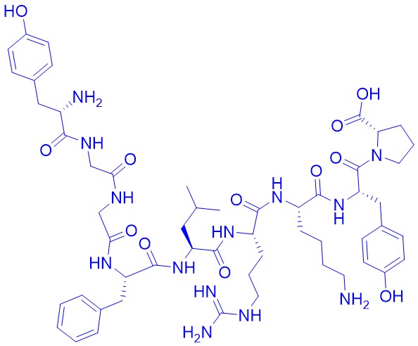 亮氨酸-脑啡肽和强啡肽A相关肽,β-Neo-Endorphin