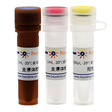 Myco-Lumi?發(fā)光法支原體檢測試劑盒(高靈敏度儀器用),Myco-Lumi? Luminescent Mycoplasma Detection Kit for High Sensitivity Instrument