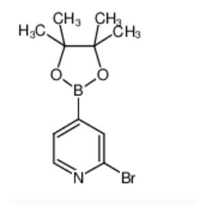 2-溴-4-(4,4,5,5-四甲基-1,3,2-二氧杂环戊硼烷-2-基)吡啶