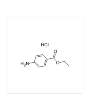 Benzocaine hydrochloride 23239-88-5 盐酸苯佐卡因