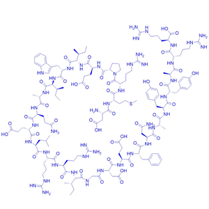 促凋亡多肽Bim BH3,PeptideIV/721885-31-0/多肽合成