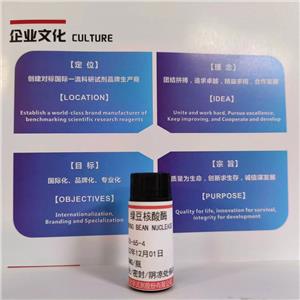 綠豆核酸酶,MUNG BEAN NUCLEASE