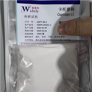 卡托普利,captopril