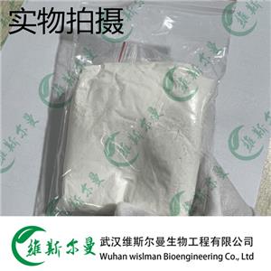 头孢唑肟钠 68401-82-1 维斯尔曼生物高纯试剂 13419635609