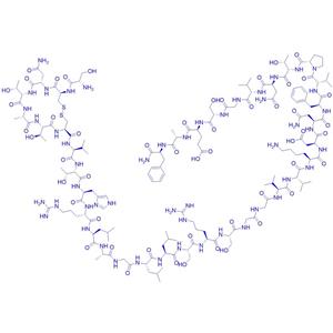 降钙素基因相关肽，鼠源/α-CGRP (rat)/83651-90-5