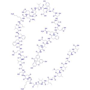 荧光淀粉肽/β-Amyloid (1-40), FAM-labeled/1678416-08-4