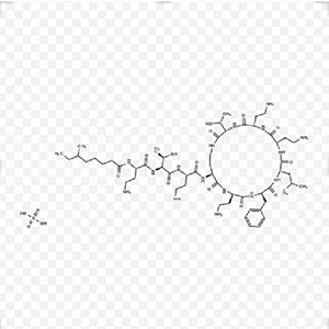 硫酸多粘菌素B,Polymyxin B sulfate