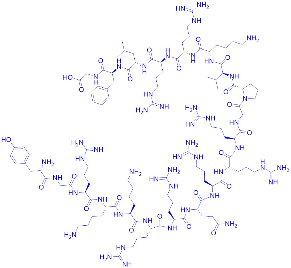 抑制剂多肽,Cdk2/Cyclin Inhibitory Peptide I