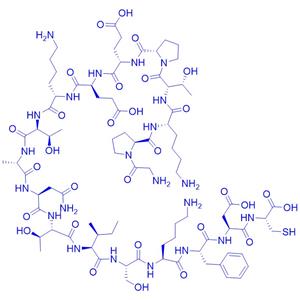 蛋白激酶肽/309247-50-5/Protein Kinase C (beta) Peptide