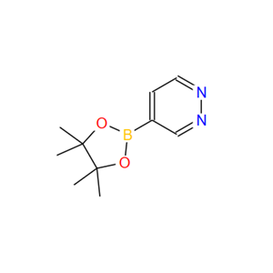哒嗪-4-硼酸频那醇酯,Pyridazine-4-boronic acid pinacol ester
