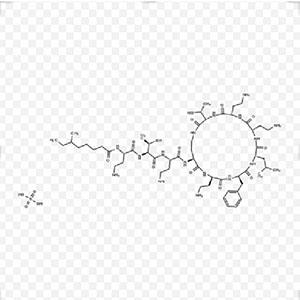 硫酸多粘菌素B 有机合成 1405-20-5