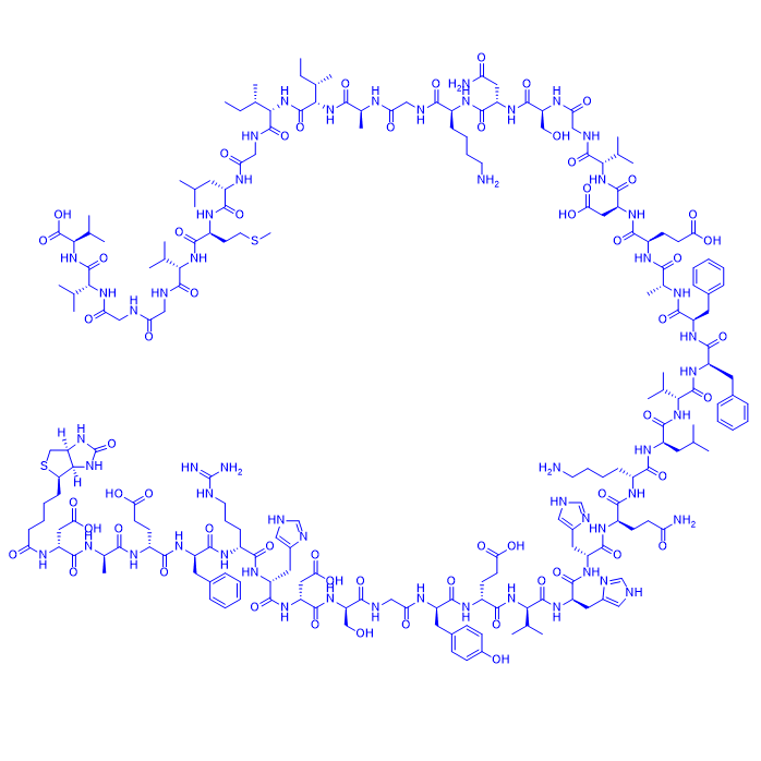 生物素淀粉样蛋白肽(1-40),Biotin-Amyloid β-Protein (1-40)