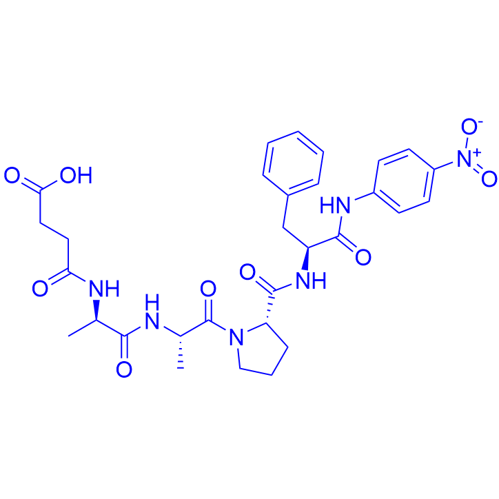 组织蛋白酶G基质I Suc-Ala-Ala-Pro-Phe-pNA,Suc-Ala-Ala-Pro-Phe-PNA