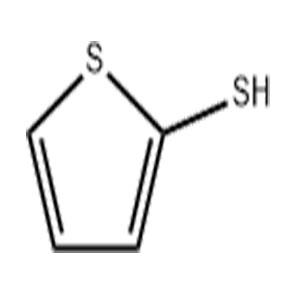 2-巯基噻吩 有机合成溶剂 7774-74-5