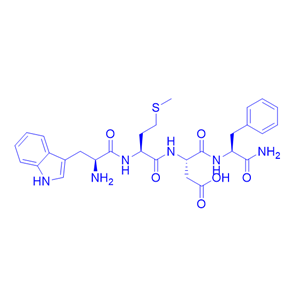 四肽胃泌素/1947-37-1/35144-91-3/Gastrin Tetrapeptide