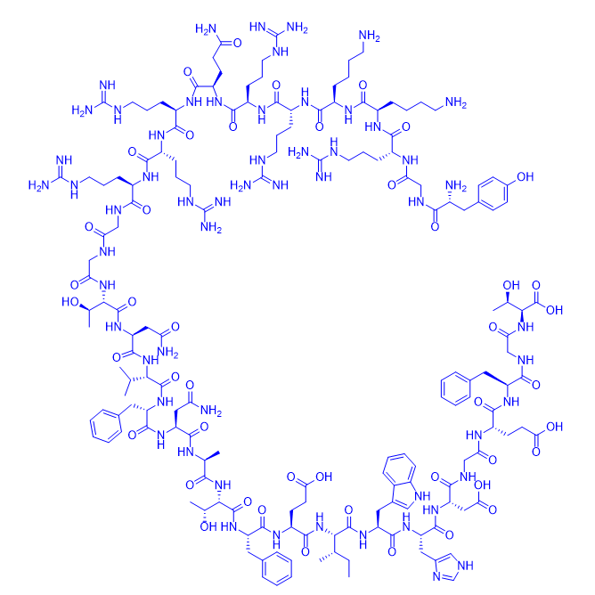 自噬蛋白区域衍生肽,Tat-beclin 1