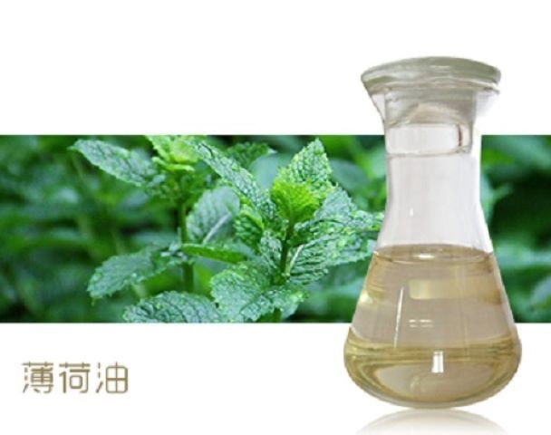 薄荷油,Mentha arvensis oil
