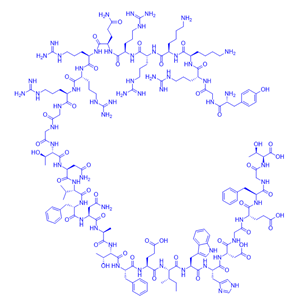 自噬蛋白区域衍生肽/1423821-88-8/Tat-beclin 1