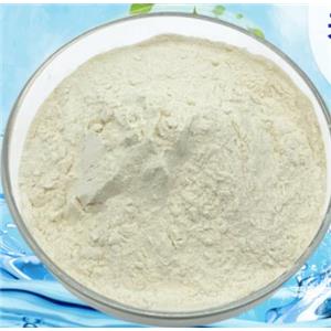 牛骨胶原蛋白肽,Bovine bone collagen peptide