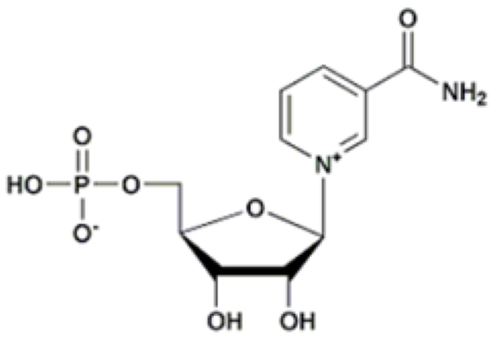 β-烟酰胺单核苷酸（NMN）,Nicotinamide mononucleotide