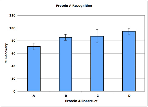 宿主细胞残留及Protein A检测试剂盒,HCP & Protein A ELISA Kit