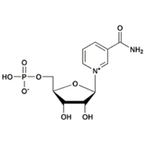 β-烟酰胺单核苷酸（NMN）,Nicotinamide mononucleotide