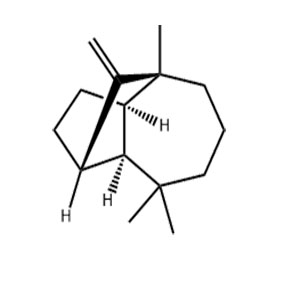 长叶烯,(+)-longifolene