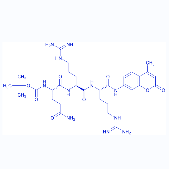 跨膜丝氨酸蛋白酶底物,Boc-Gln-Arg-Arg-AMC