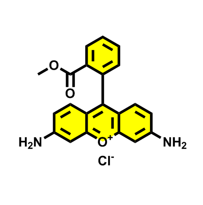 罗丹明123,Rhodamine 123