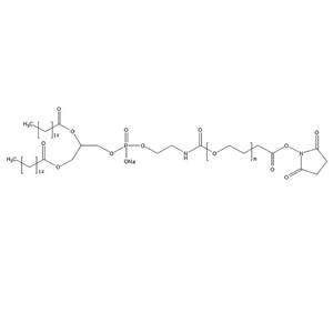 DPPE-PEG-NHS，二棕榈酰磷酯酰乙醇胺-聚乙二醇-琥珀酰亚胺酯