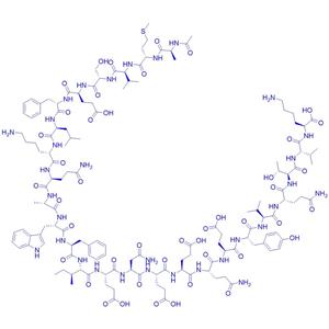 钙依赖性磷脂结合蛋白Annexin-1 (2-26) (human)/151988-33-9