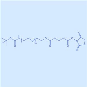 叔丁氧羰基氨基-聚乙二醇-琥珀酰亚胺戊二酸酯，BOC-NH-PEG-SG
