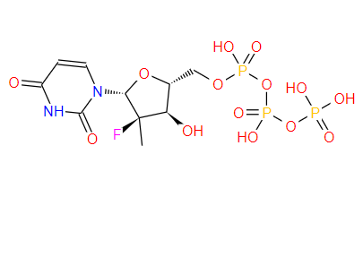 2'-deoxy-2'-α-fluoro-2'-β-C-methyl-U-TP,2'-deoxy-2'-α-fluoro-2'-β-C-methyl-U-TP