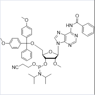 2'-OMe-A(Bz) 亚磷酰胺单体;N-苯甲酰基-5'-O-(4,4-二甲氧基三苯甲基)-2'-O-甲基腺苷-3'-(2-氰基乙基-N,N-二异丙基)亚磷酰胺,2'-O-Methyl-rA(N-Bz)phosphoramidite