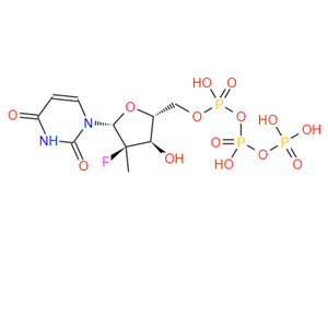 2'-deoxy-2'-α-fluoro-2'-β-C-methyl-U-TP