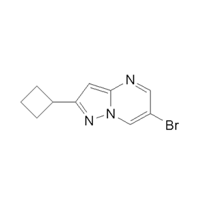 6-Bromo-2-cyclobutylpyrazolo[1,5-a]pyrimidine,6-Bromo-2-cyclobutylpyrazolo[1,5-a]pyrimidine